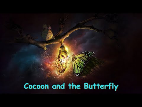 Cocoon and the Butterfly | Moral stories for kids in English | Bedtime story.