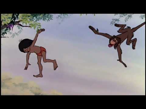 stranded in the jungle