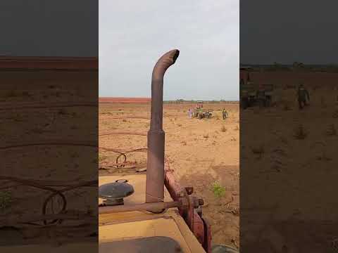 LIMPEZA DE TALHÃO - CATAÇÃO DE RAÍZES - REGENERAÇÃO - PIAUI