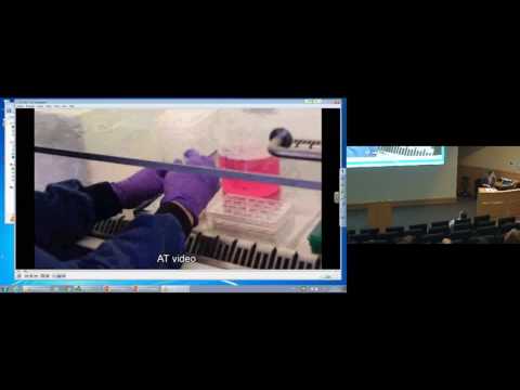 Edinburgh Imaging Symposium - Translational Highlights