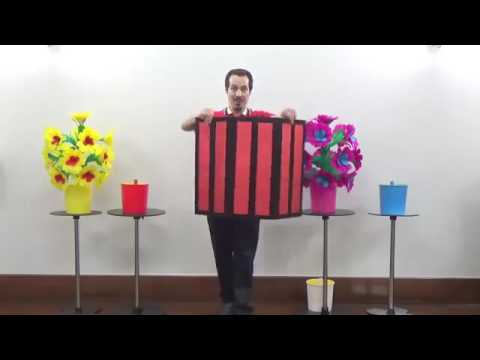 Appearing 5 Flower Bouquets from Tube