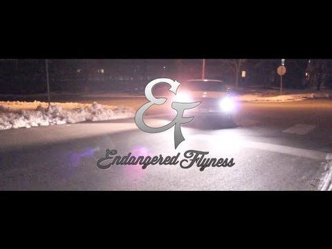 Endangered Flyness ft. JL of B.Hood & Codak Carter - "Mary Jane"