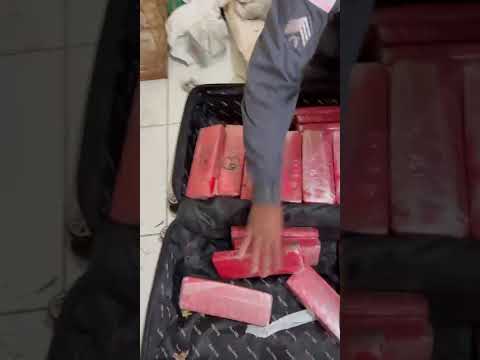 PM apreende 43 quilos de maconha, munições e aves silvestres em São Mateus