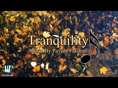 Relaxing Piano Song with Beautiful Nature Footage - "Tranquility" By Payam Falahati