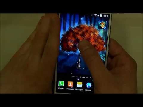 Magic Forest Live Wallpaper video