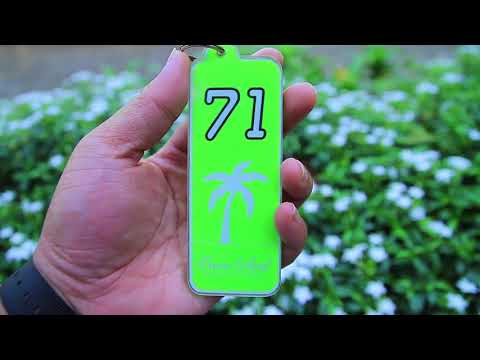 Wolf x Turtle Coffee Trip