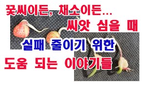 꽃씨이든, 채소이든... 씨앗 심을 때 실패줄이기 위한 도움되는 이야기들(꽃씨 파종, 씨앗 파종, 종자 발아…