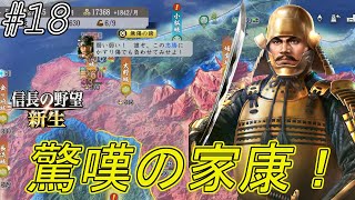 【信長の野望新生】流石は忠勝！越前攻めで唸る蜻蛉斬りそれを観た家康。家康に過ぎ足る者よと呟く！ｗｗ#18【上級】