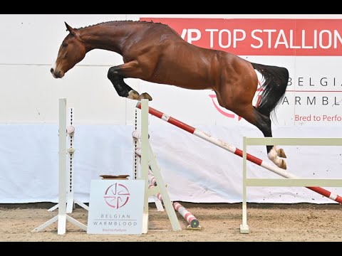 95. ARTIST VAN DEN DRIEHOEK Z