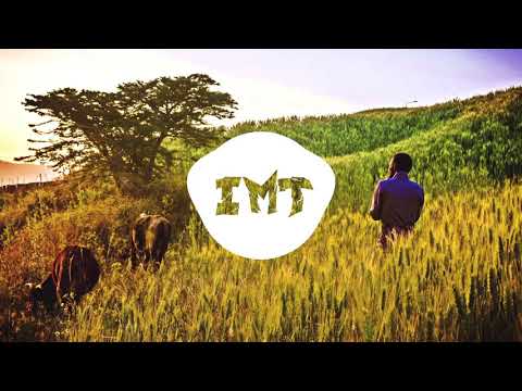 Beferdu - Hilm Alen (feat. Jahphate & Stif Lion) (Prod. Ahadu) (Audio)