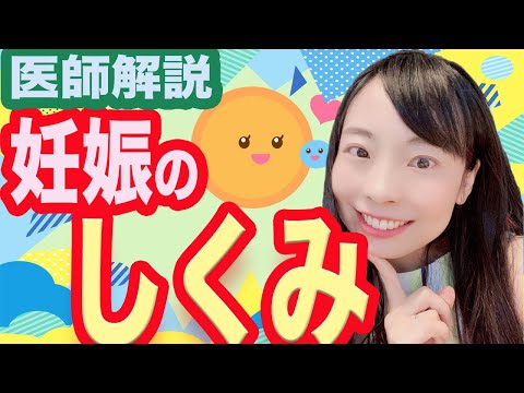 卵子が精子を認識する仕組み