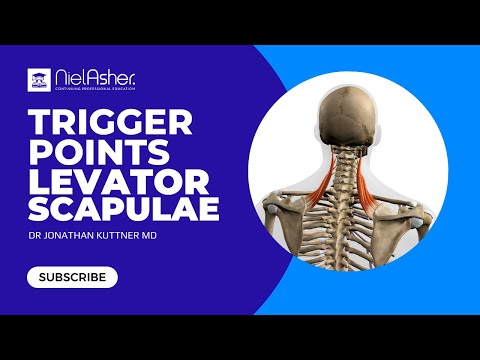 Trigger Point Therapy - Treating Levator Scapulae
