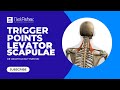 Trigger Point Therapy Treating Levator Scapulae