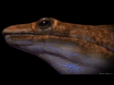 Metoposaurus - Marc Boulay #zbrush #zbrushart