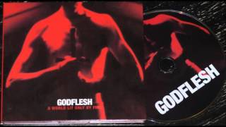 Godflesh - New Dark Ages