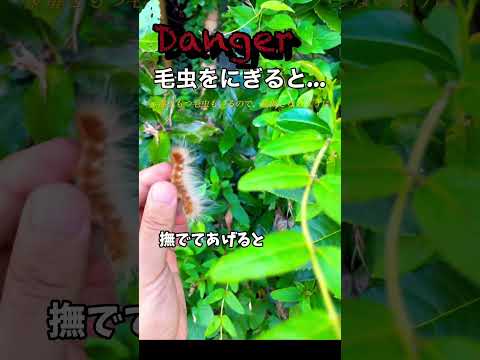 鹵獲したゴリアテ戦車を駆るイギリス兵。