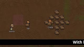 Video 2