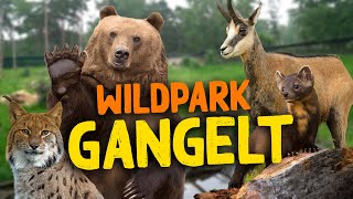 Wildpark Gangelt | Zoo-Eindruck