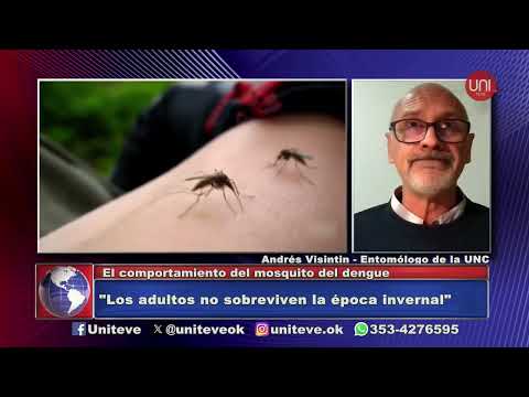 Las acciones para luchar contra el dengue