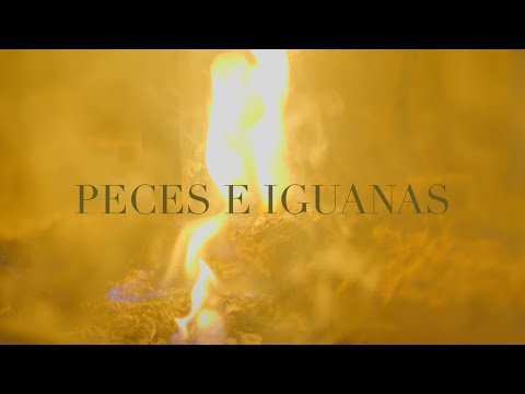 Los Miseria Cumbia Band - Peces E Iguanas