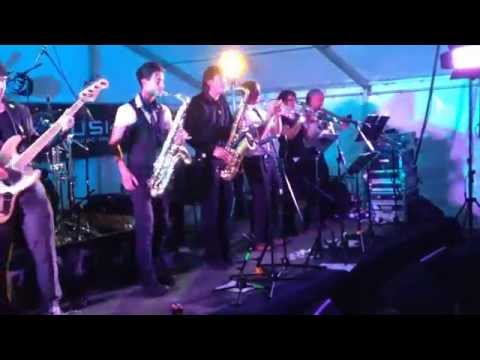 Interskalactic performing "Guns of Navarone" at Booleigh Ska Festival 2014