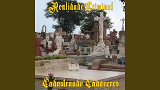 Coração de Pedra Music Video