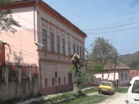 Geamuri sparte la scoala generala Ighisu Nou 1