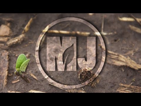 Soilborne Pathogens - Tony Adesemoye - May 18, 2018