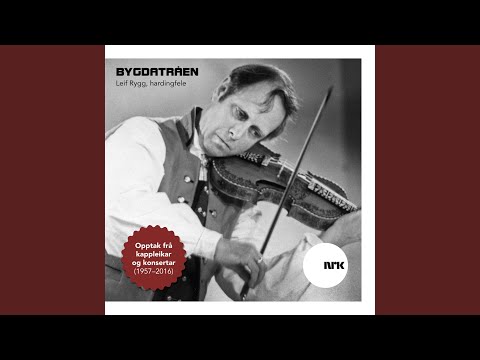 Apalhagen (Springar i form etter Halldor Meland)