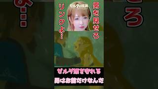 今はただ抱きしめて？お願いだから…！ #ブレワイ #ゼルダの伝説ブレスオブザワイルド #shorts