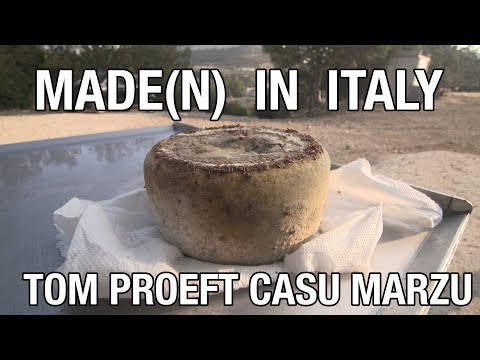 Casu Marzu - het verhaal van de larven en de Kaas