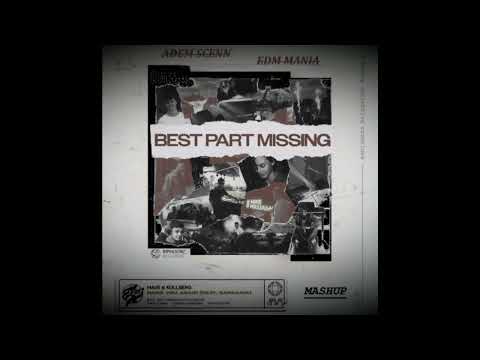 Mike Williams Vs Mave & Kollberg - Best Part Missing Vs Need You Again (Adem Scenn Mashup)