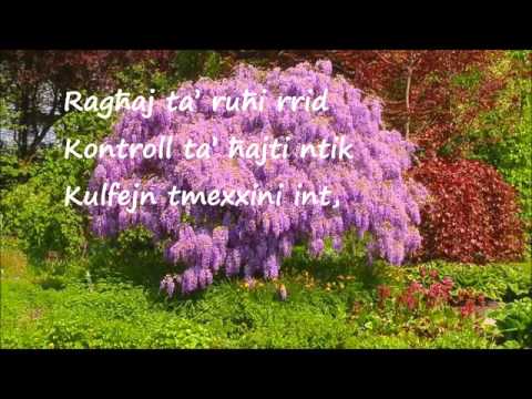 Ragħaj ta' ruħi - Andrew Cauchi