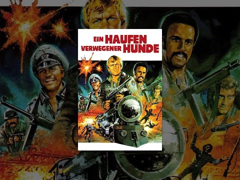 Ein Haufen verwegener Hunde