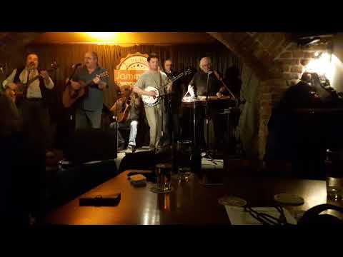 Chtěl bych být medvidkem