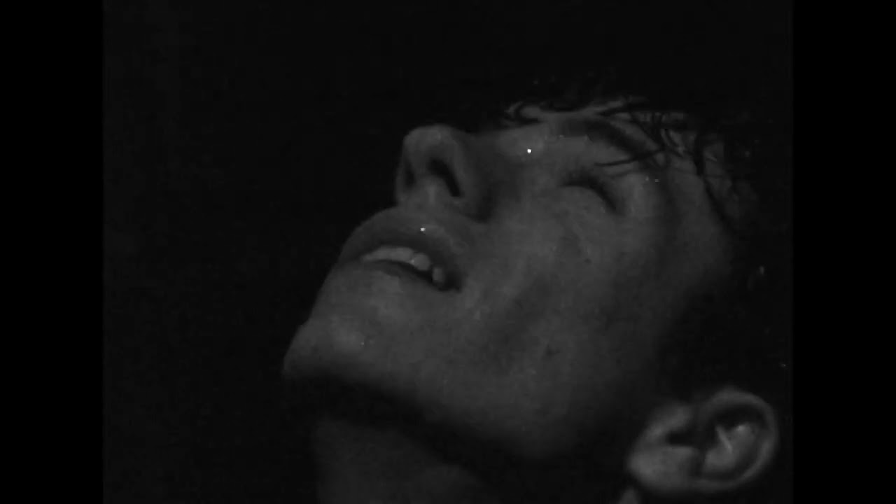 Daniel Žižka - 23:23 (Visualizer)