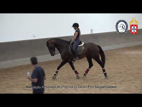 230626 7 Proj Ensino APSL&FEP - Leonor Mota Pereira com Oghiro das Lezirias