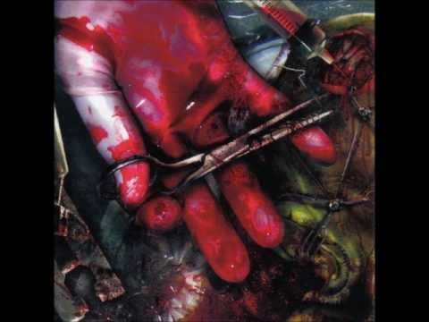 Total Fucking Destruction - Hammer Smashed Gore Fan