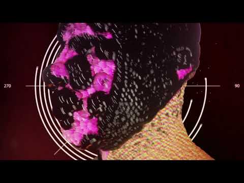 Rocky Lean x Dvbs - Puffinu (Official Visualizer)