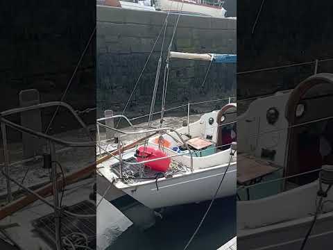 #20 Harmony Contessa 26 - I am back in my favorite place in the world