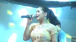 Download lagu New Apollo Mencari Mangsa  (Mimin Aminah) mp3