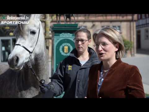 Reiterjournal SPORTSCHAU: Weilheim - Walldorf - Marbach Classics