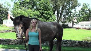 preview picture of video 'Orchard Hill Equestrian Center Tour'