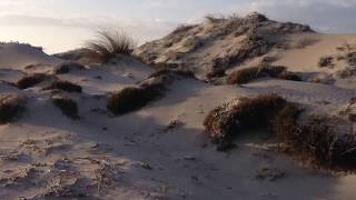 preview picture of video 'Le dune e spiaggia di Rena di Matteu (Aglientu) Sardegna'