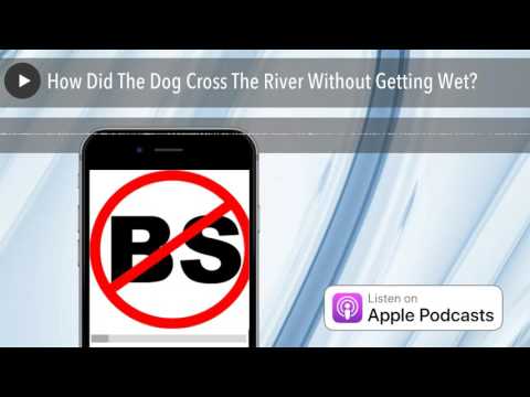 YouTube video about: How does a dog cross a river without getting wet?