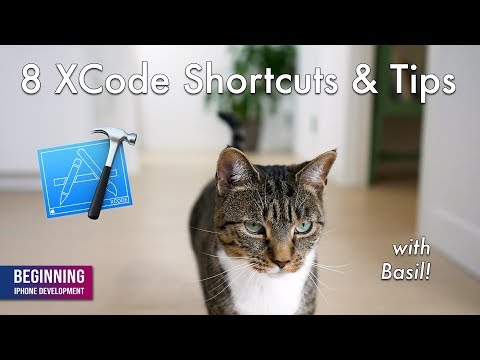 8 XCode Shortcuts & Tips to Make You More Productive - With Basil the Cat!