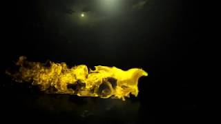 Free Template AE - 139