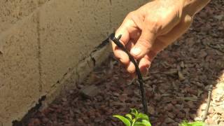 How To Fix A Drip Irrigation System