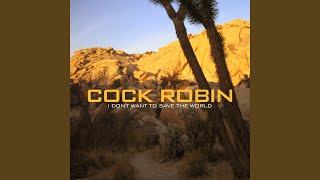 Music video thumbnail preview for Superhuman by Cock Robin