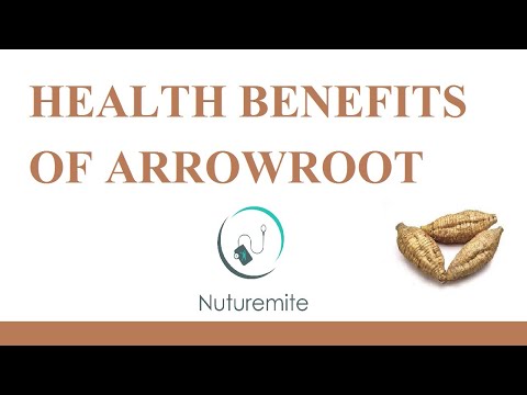 The Nutrient Food Arrowroot: A Potential Source of Protein &A Potential Preventive for Heart Disease